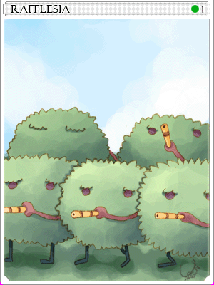 Rafflesia Card