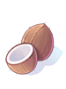 coconut