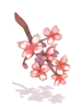 Cherry Twig In Mouth [0]