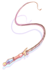 Phenomena Whip [0]