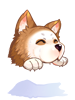 Costume Husky Hat [0]