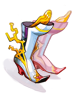 Enhanced Variant Shoes [1]