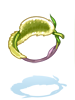 Foxtail Ring [0]