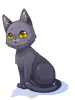 Costume Black Cat [0]