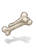 Well-Dried Bone