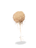 Sand Lump