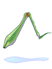 Grasshopper