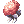 Bunch of Carnation