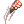 Falconer Claw [1]