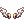 C Archangel Wing Ears