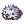 Sea Otter Hat