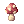 Mushroom Band