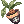 Mandragora Flowerpot