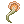 Drocera Tentacle
