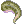 Petti