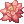 Elegant Flower