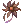 Dried Flower