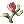 Heaven Flower