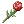 Witherless Rose