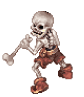 Skeleton