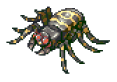Giant Spider
