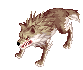 Desert Wolf