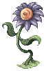 Blue Flower