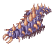 Centipede Larva