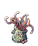 Strange Hydra