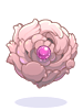 Rosa Shield [1]