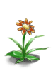 Fancy Flower [0]