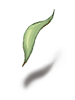 Leaves Of Grass [0]