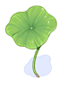 Lotus Leaf
