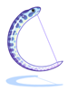 Zebra Eel [0]