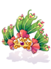 Jaty Crown [0]