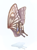 Fairy Wing [0]