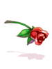 Scarlet Rose [0]
