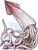 Giant Squid
