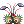 Drosera Hairpin [1]