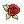 Costume Lush Rose