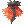 Fire Dragon