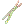 [Not For Sale] DEX Biscuit Stick