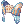 DVAngelNurseCap