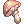 Star Shape Mushroom
