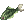 Crucian Carp