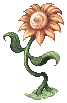 Yellow Flower