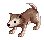 Desert Wolf