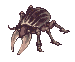 Horn
