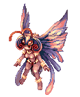 Swift Bloody Butterfly