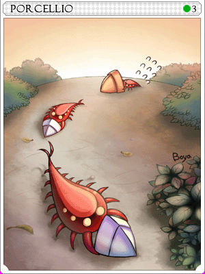 Porcellio Card
